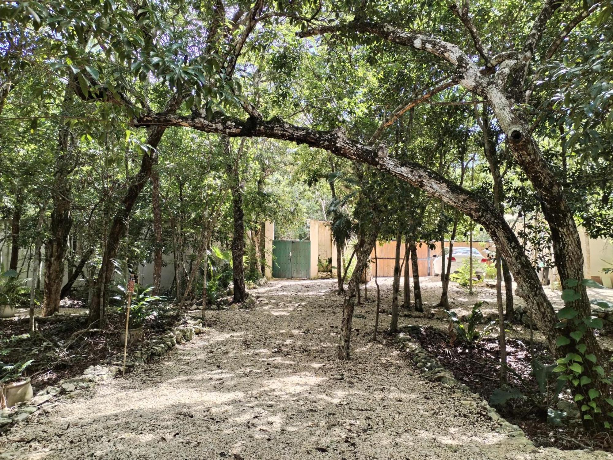 Villa Saasil Kaax Chemuyil Exterior foto